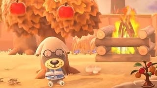 Animal Crossing seasons, northern and southern hemispheres in New Horizons explained