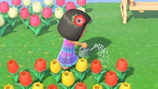 Animal Crossing - Watering Can: schemat na konewkę w New Horizons