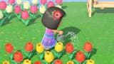 Animal Crossing - Watering Can: schemat na konewkę w New Horizons