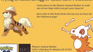 Animal shelter uses Pokémon Go to find volunteer dog-walkers