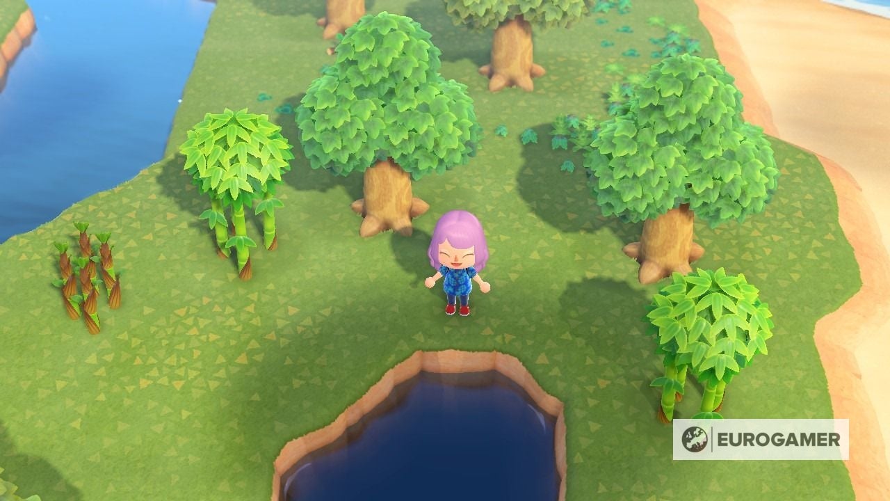 Animal Crossing Bamboo How to get Bamboo Pieces, Bamboo Shoots and