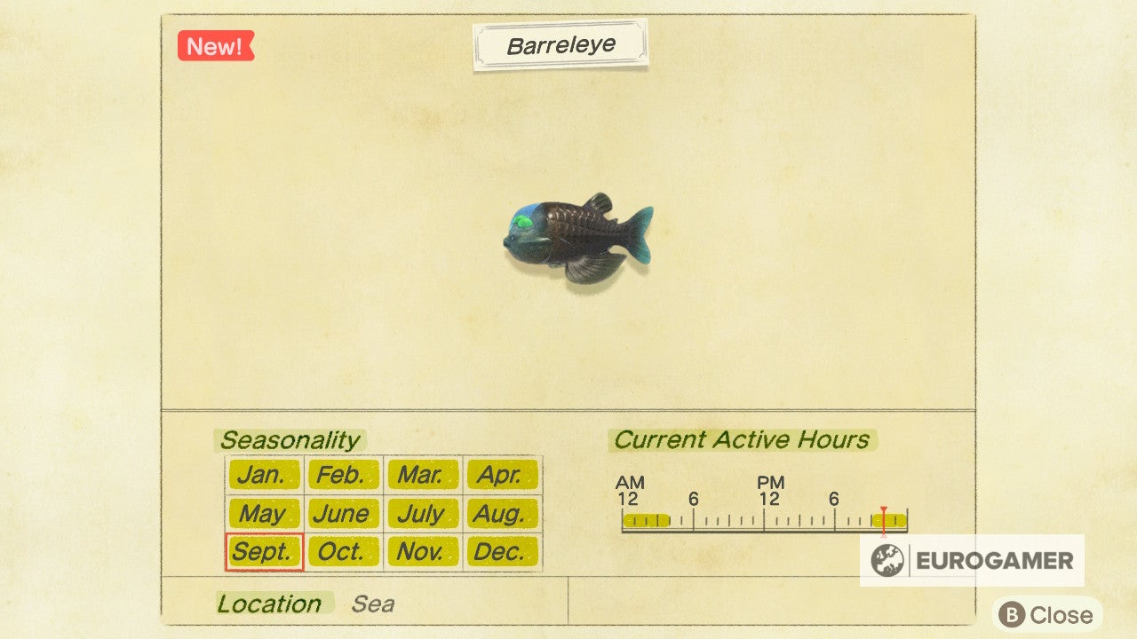 Barreleye on sale