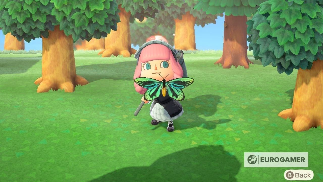 Animal Crossing BugOff prize list, how points and trophy rewards work
