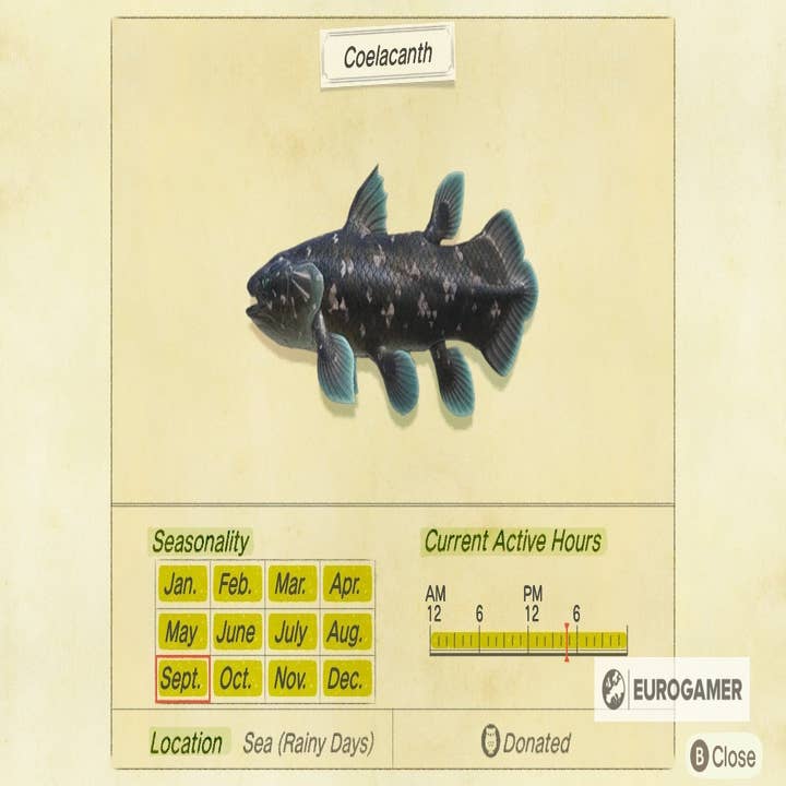 Animal Crossing Coelacanth: How to catch a Coelacanth in New