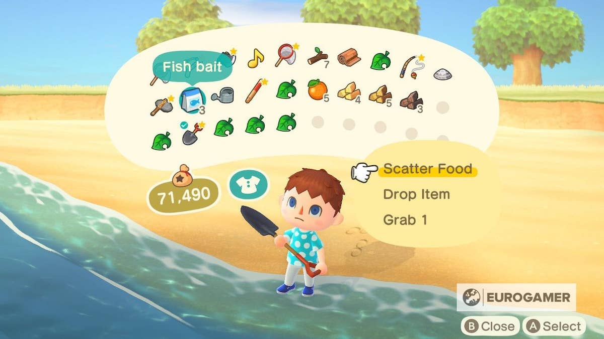 Animal Crossing Fish list: All fish prices, locations, and how to