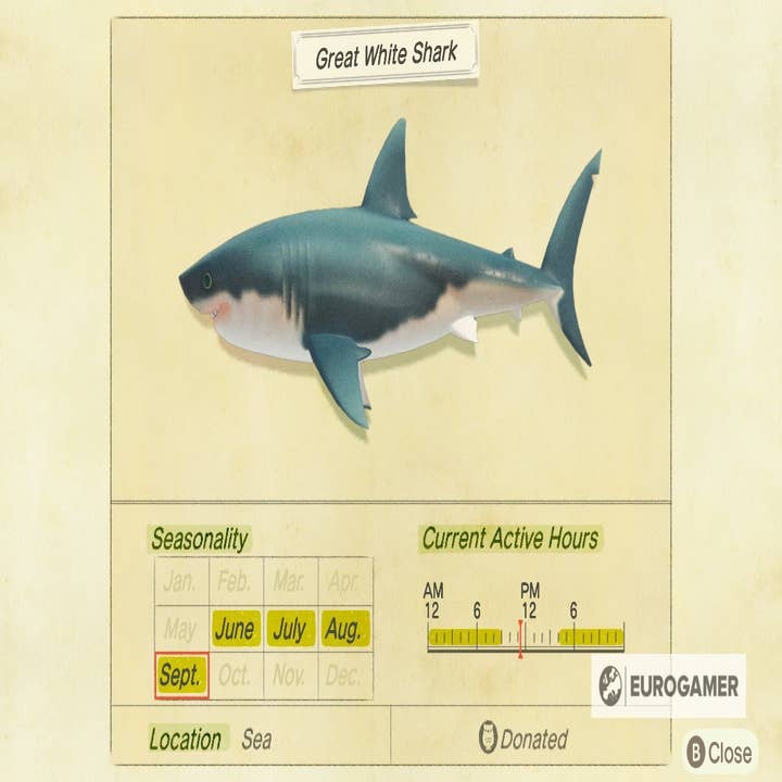 Animal Crossing Sharks: How to catch a Saw Shark, Hammerhead Shark, Great  White Shark, Whale Shark and a Suckerfish in New Horizons