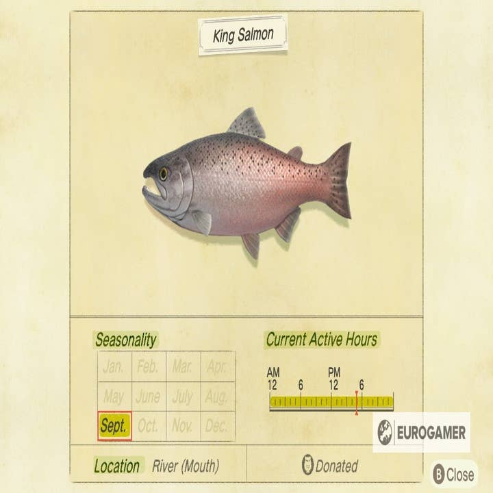 Animal Crossing Salmon and King Salmon: How to catch a salmon or a