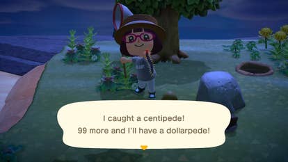 《动物森友会:新地平线》游戏封面及相关图片