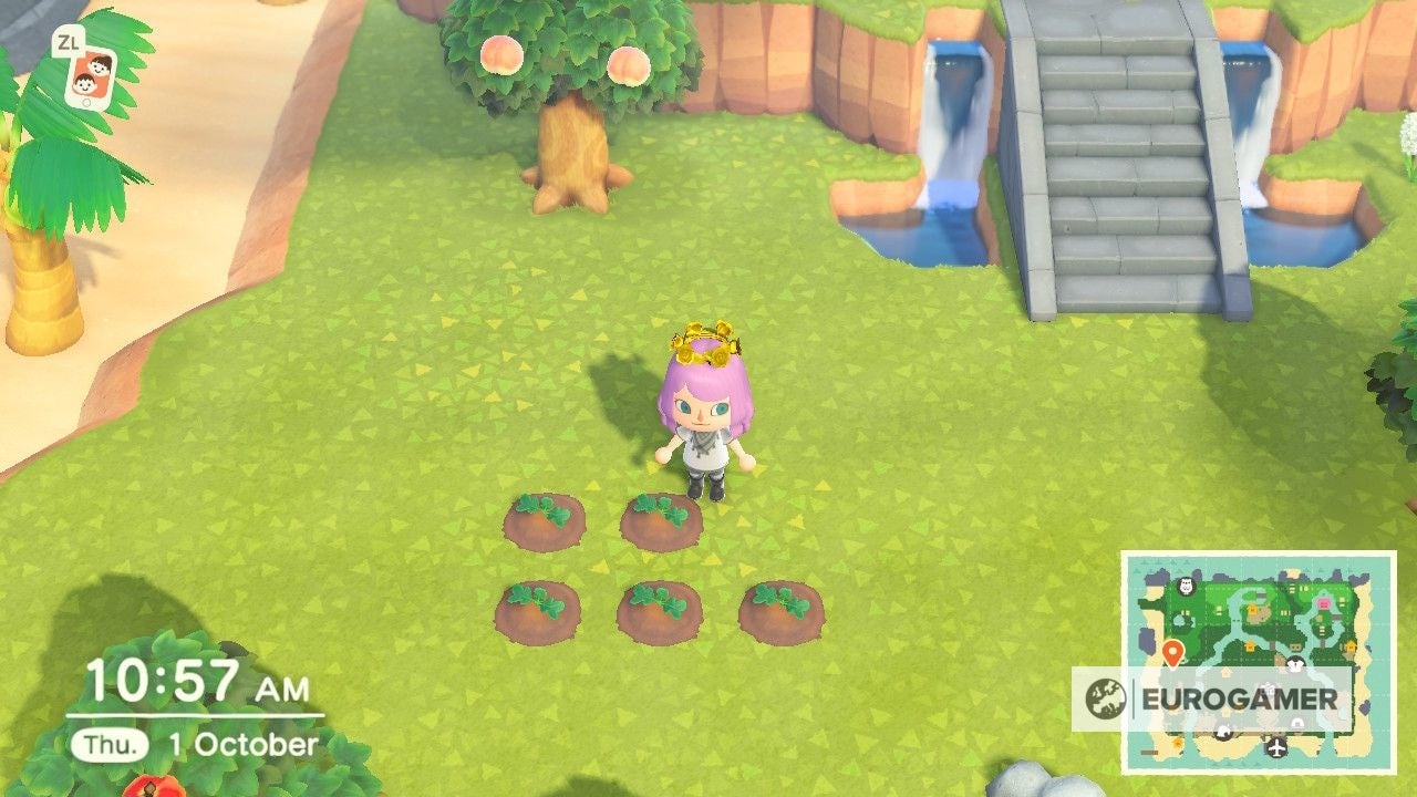 Animal Crossing Pumpkins How to grow pumpkins, pumpkin colours and how