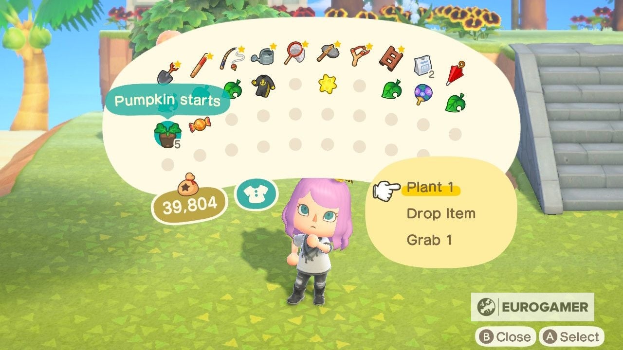 Animal Crossing Pumpkins How to grow pumpkins, pumpkin colours and how