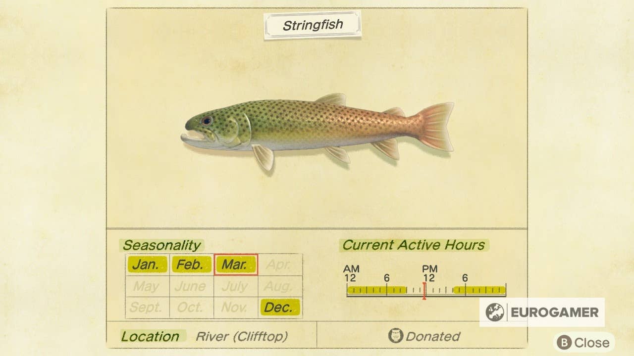 String Fish Real Life Animal Crossing Stringfish: How to catch and find the river clifftop ...