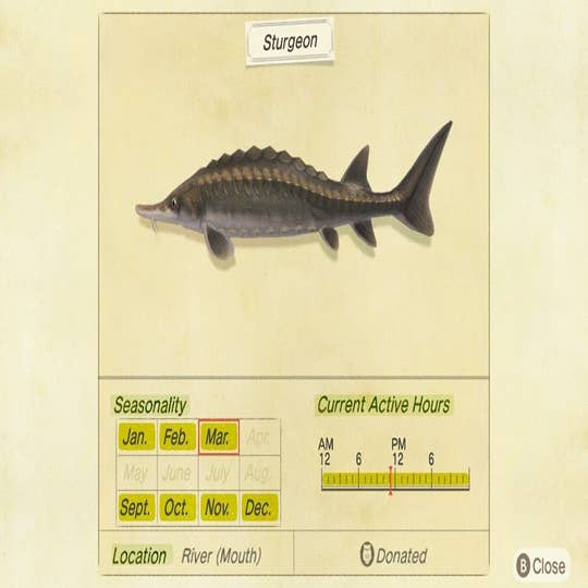 Animal Crossing Sturgeon: How to catch and find the river mouth