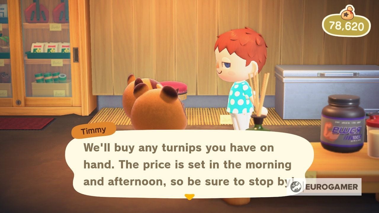 Animal Crossing Turnips How to get a good Turnip price in Daisy Mae's Stalk Market