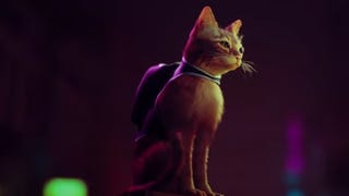 Annapurna Interactive's Stray lets you explore a futuristic city... as a cat