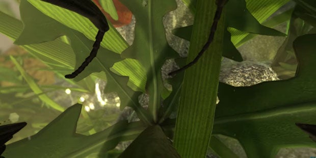 Antsim Ant Simulator Video | Rock Paper Shotgun