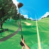 Everybody's Golf VR artwork