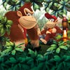 Artwork de Donkey Kong Country Returns 3D