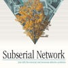 Subserial Network artwork