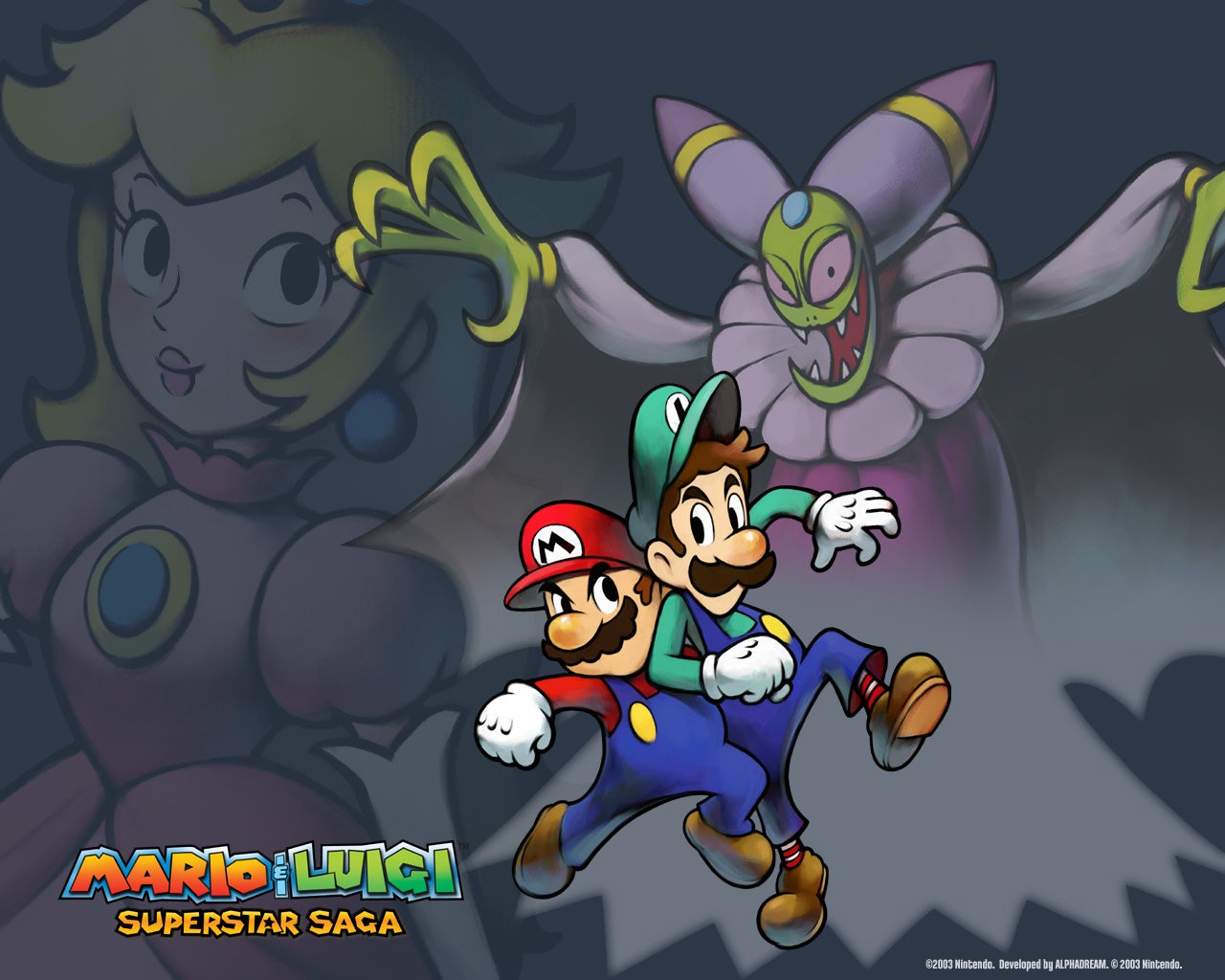 Mario & Luigi: Superstar Saga artwork
