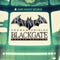 Batman: Arkham Origins Blackgate - Deluxe Edition artwork