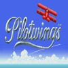 Pilotwings artwork