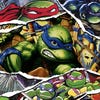 Artwork de Teenage Mutant Ninja Turtles: The Cowabunga Collection