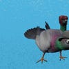 Artworks zu Pigeon Simulator