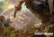 Tom Clancy's Ghost Recon Wildlands artwork
