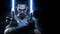 Star Wars: The Force Unleashed II artwork