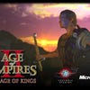 Age of Empires II: The Age of Kings artwork
