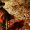 Artworks zu Call of Juarez: Gunslinger