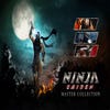 Ninja Gaiden: Master Collection artwork