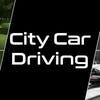 City Car Driving artwork