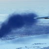 IL-2 Sturmovik: Battle of Stalingrad artwork