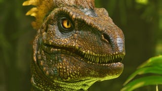An extreme close-up of a dinosaur's face.