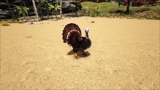 Ark: Survival Evolved Turkey Trial 3 - Where to find Wishbones
