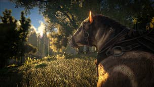 Latest Ark: Survival Evolved update includes new dinosaurs, mechanics, procedurally generated maps