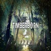 Timberborn artwork
