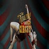 The Amazing American Circus artwork