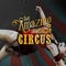 Artworks zu The Amazing American Circus