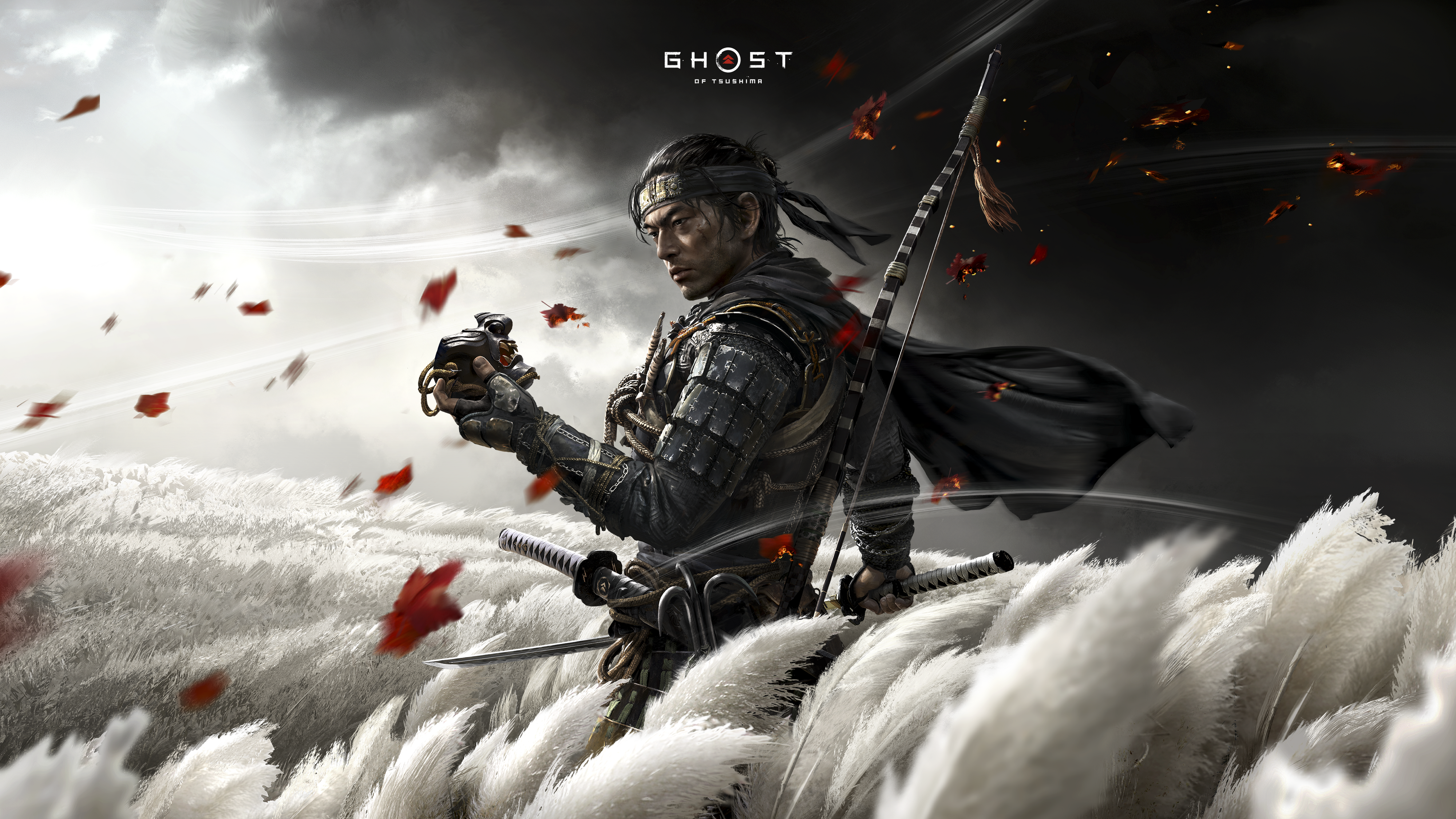 Ghost of Tsushima Director's Cut artwork