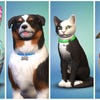 Artworks zu The Sims 4 Cats & Dogs