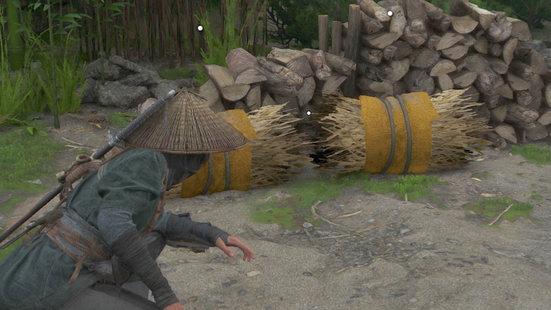 assassin&rsquo;s creed shadows crop bundle in tennoji temple