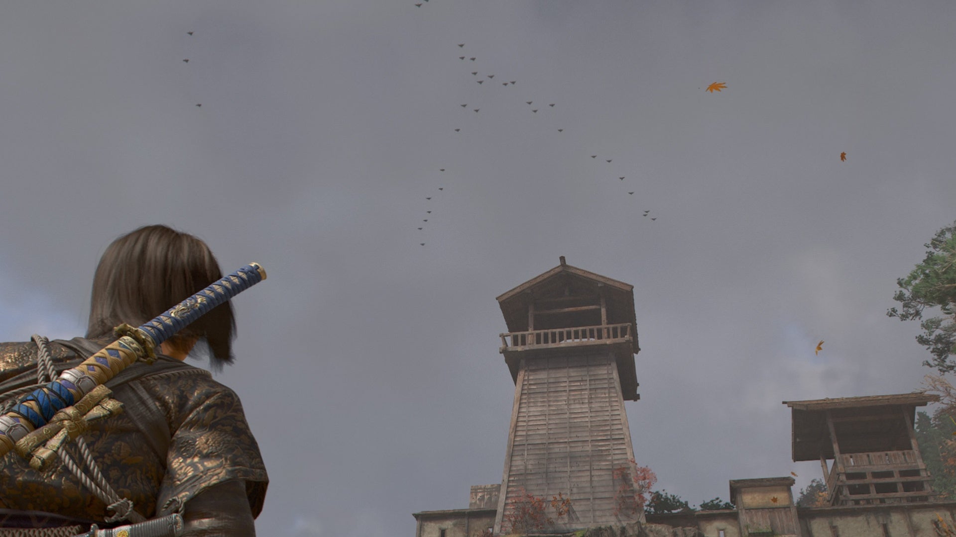 assassin&rsquo;s creed shadows mibuno castle