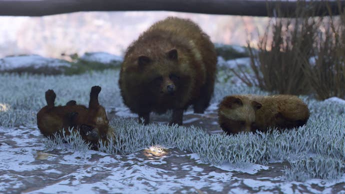 assassin’s creed shadows mikan the tanuki with baby tanuki