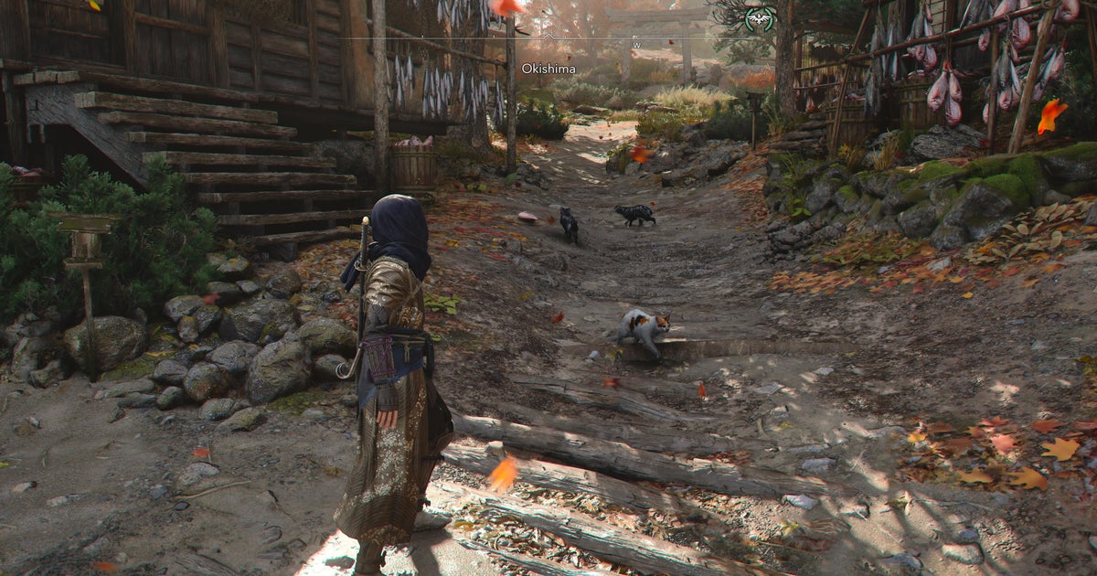 Assassin Ilan How to get to cat island in Assassin's Creed Shadows | VG247