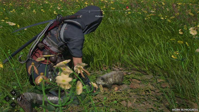 A female shinobi pets a tanuki pup in long grass in Assassin’s Creed Shadows.