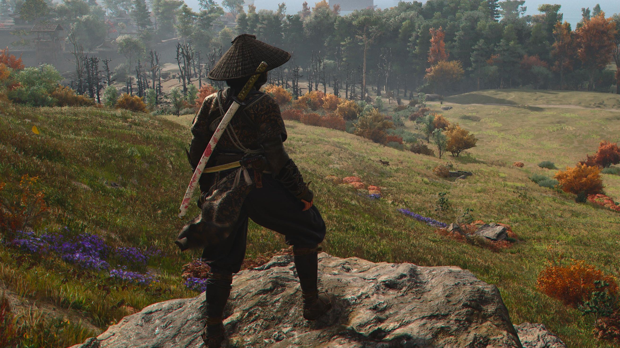 Naoe standing on a rock overlooking a green meadow while tracking the Kabukimono in Assassin's Creed Shadows.