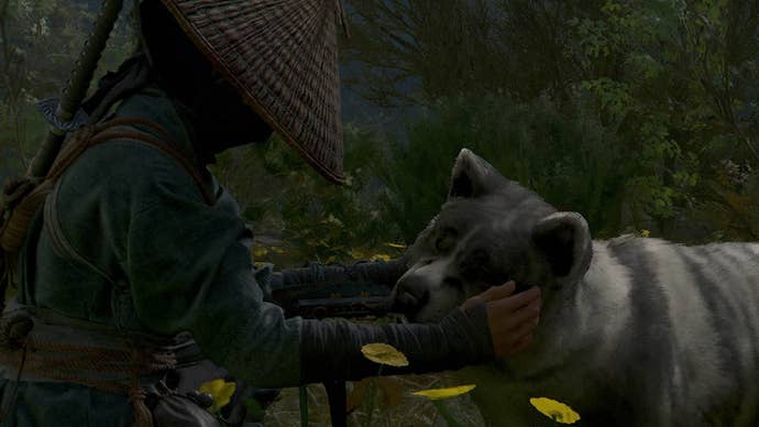 assassins creed shadows nanoe petting black and white dog