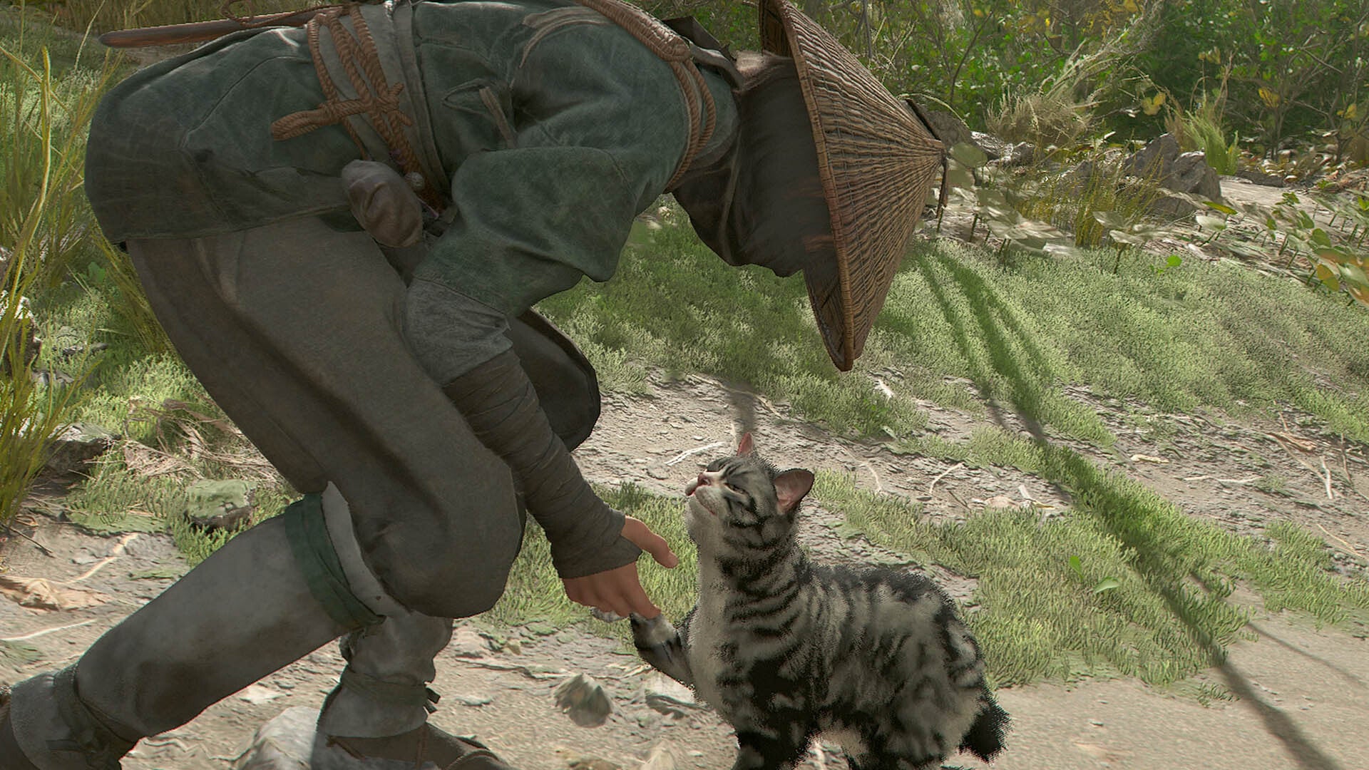 assassins creed shadows nanoe petting grey cat at temple